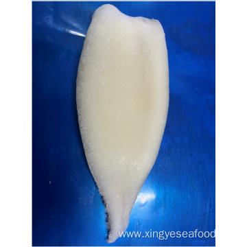 Frozen Squid Tubes Illex Argentinus IQF